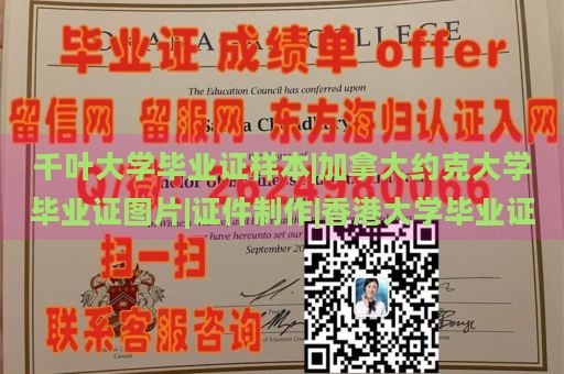 千叶大学毕业证样本|加拿大约克大学毕业证图片|证件制作|香港大学毕业证